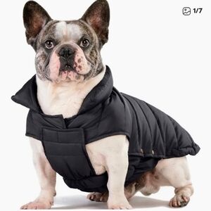 Sleek Black Dog Puffer Vest
